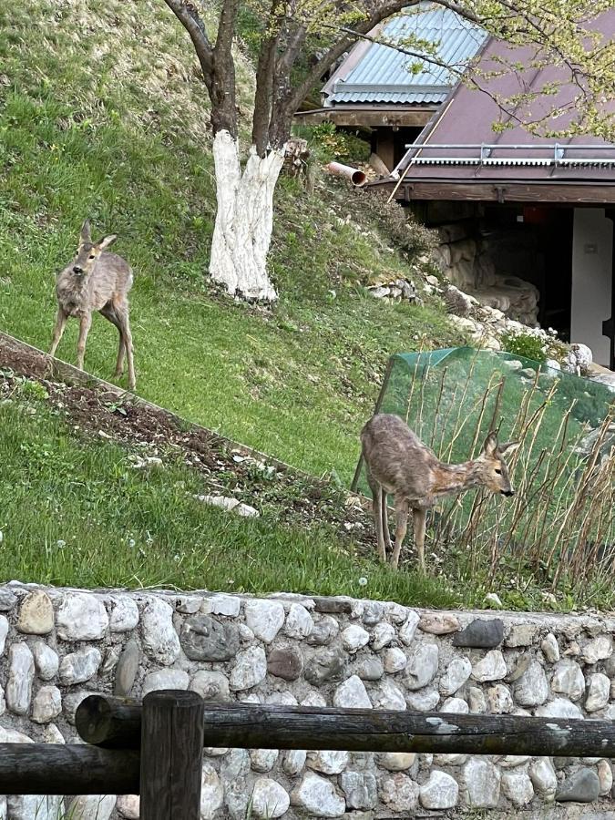 Appartamento In Montagna Venas Zewnętrze zdjęcie